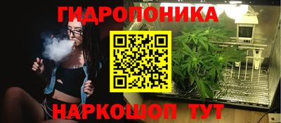 стафф Кулебаки