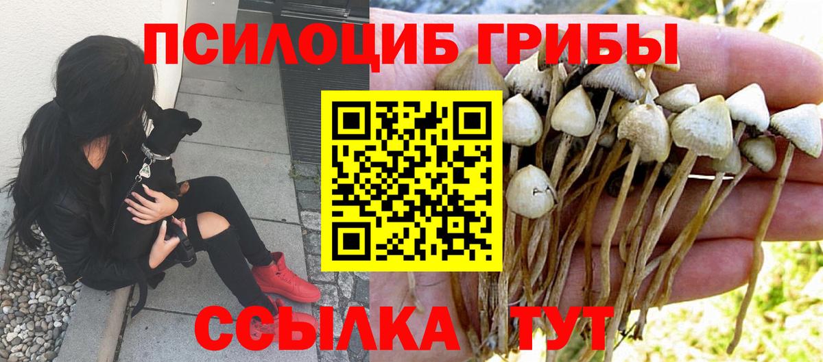 как найти   Вход с VPN  Ессентуки  Галлюциногенные грибы мухоморы  Псилоцибиновые грибы мухоморы 
